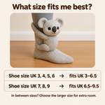 Cuddle socks koala size guide